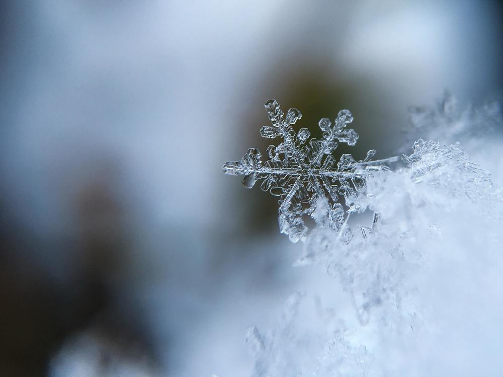 Close up view of a snowflake