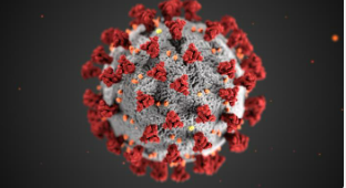 Gray and red coronavirus molecule