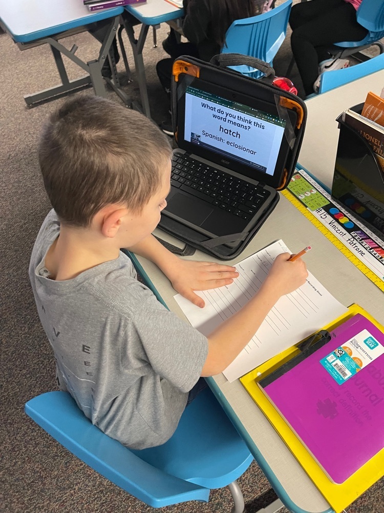 student completing a video rotation independently