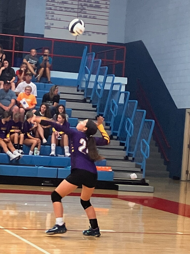 volleyball